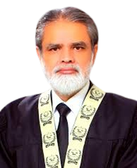 Justice_Dr._Syed_Muhammad_Anwer-1-removebg-preview 1